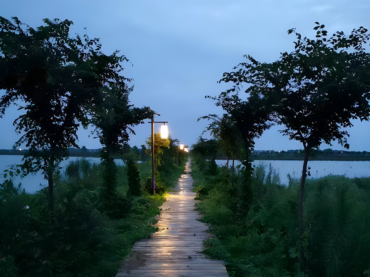 興化大眾湖湖邊亮化項目